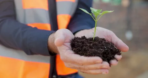 Plant, soil and hands of construction worker on site with sustainable building Video stock 337546794