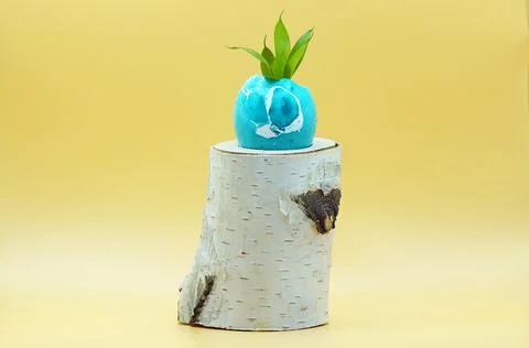 A plant sprout in a painted eggshell on a light background Stock Photos