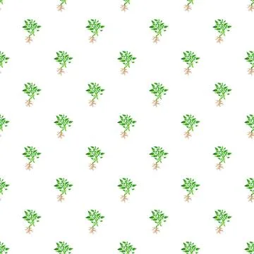 Plant sprout with root system seamless pattern Stock Illustration