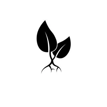 Plant Sprout, Sprouted Seed Solid Flat Vector Icon Isolated on White Backgrou 스톡 일러스트