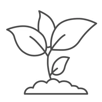Plant sprouts thin line icon, agriculture concept, Young growth with leaves sign Stock Illustration