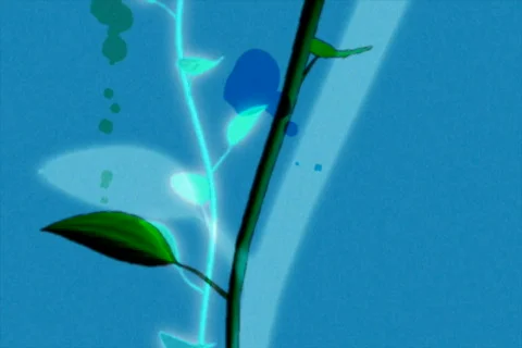 Plant stalk shooting up Video stock 515892