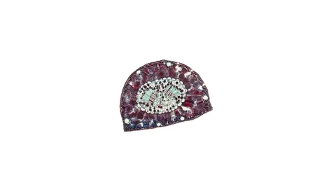 Plant stem - cross section cut microscope – view of cells botanic education Stock Footage 107547441