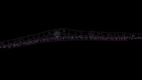 Plant stem - cross section cut microscope – view of cells botanic education Stock Footage 108727888