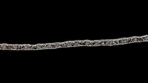 Plant stem - cross section cut microscope – view of cells botanic education Stock Footage 108731067