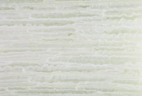 Plant stem Stock Photos