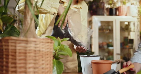 Plant store unrecognizable worker wearing apron filling the ceramic pot with the Vídeos de archivo 246940431