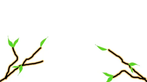 Plant tree Stockbeeldmateriaal 200070409