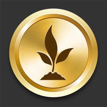 Plant Tree on Golden Internet Button Stock Illustration