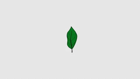 Plant tree leaves flying on wind icon loop Animation video transparent back.. Stock Footage 234064713
