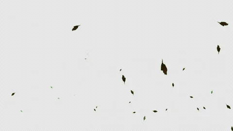 Plant tree leaves flying on wind icon loop Animation video transparent back.. Stock Footage 281073734