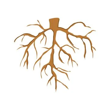 Plant tree root cartoon vector illustration Illustrazione stock