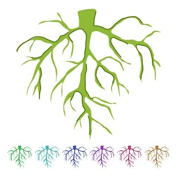 Plant tree root vector cartoon graphic Stock Illustration