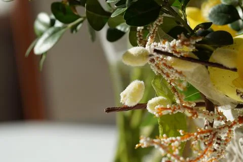 Plant with twigs Foto stock