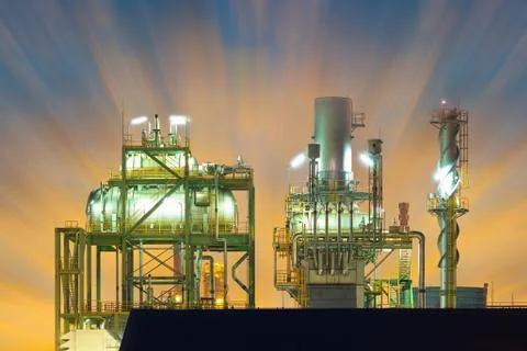 Plant at twilight 库存照片