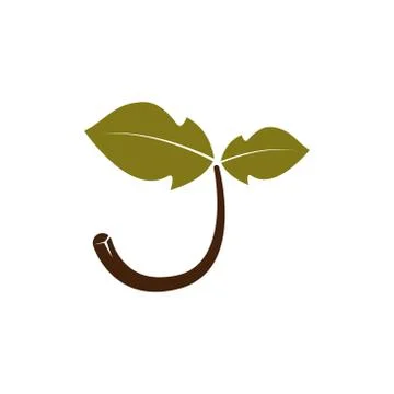 Plant vector design template illustration Stock Illustration