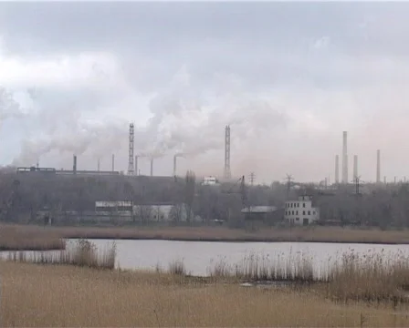 Plant view 01 Stock-Footage 347421
