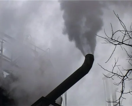 Plant view 02 Stock-Footage 347432