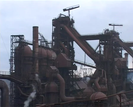 Plant view 03 Видео 347462