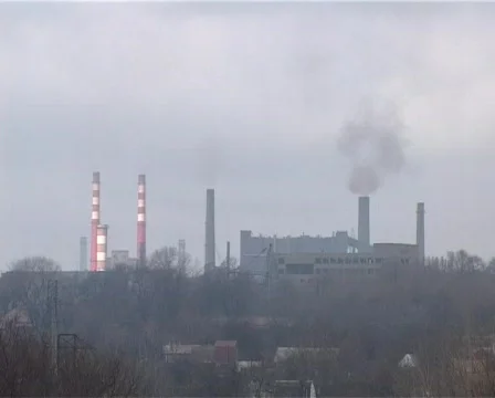 Plant view Stock-Footage 347415