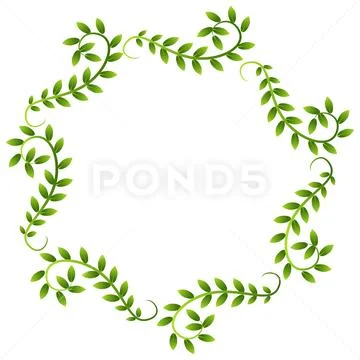 Plant Vine Leaves Frame Wreath Border Stock Illustration