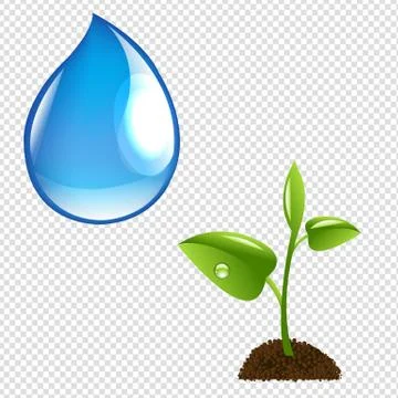 Plant With Water Drop Stock Illustration