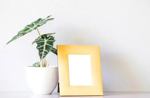 Plant in white pot next to empty yellow photo frame Stock Photos
