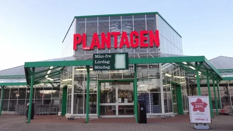 Plantagen Stock Footage 284528351