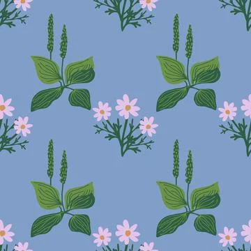 Plantain and chamomile pattern Stock Illustration