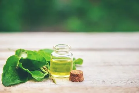 Plantain extract in a small bottle. Selective focus. Stock Photos