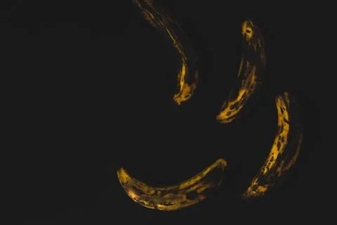 Plantain macro close up Stock Photos