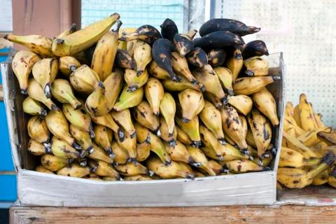Plantains Stock-Fotos
