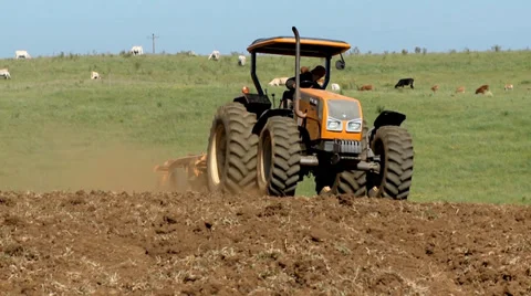 Plantation with farm tractor Video stock 36614354