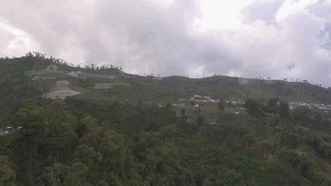 Plantation at the foot of the mountain Stock Footage 129796143