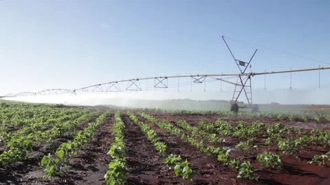 Plantation Irrigation in Brazil Stock Footage 158403350