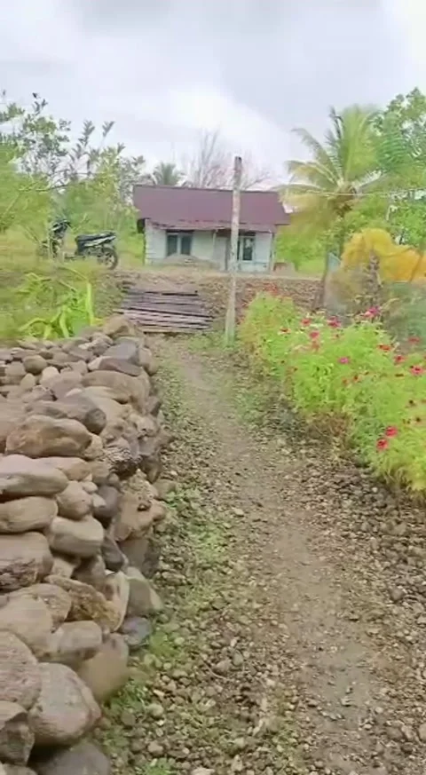 Plantation land Video stock 194966209