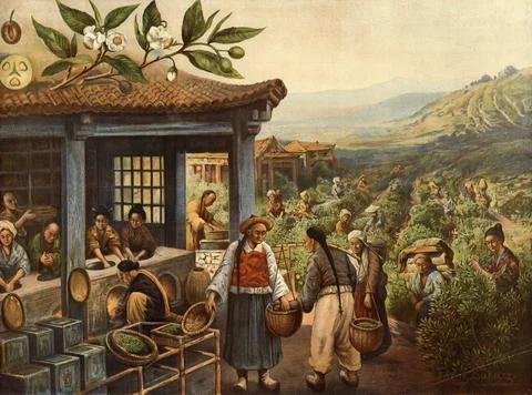 Plantation scene with workers picking tea leaves on a hillside and in a hut Stock Illustration