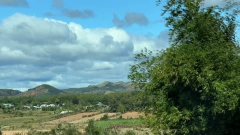 Plantations and open ground extend toward the horizon, softened by slow motion Stock Footage 324838978