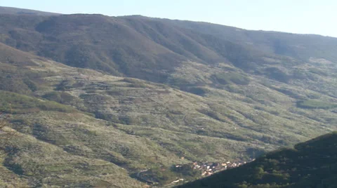Plantations of cherry on bottom and forests on top of the valley, pan right Stock Footage 49653457