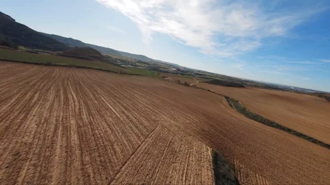 Plantations in the countryside Stock Footage 124656389