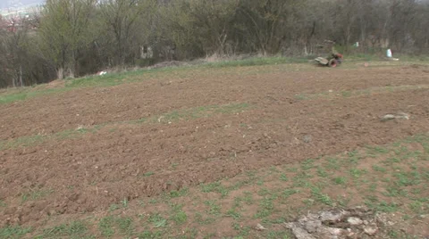 Planted blackcurrant on the slope Vídeo Stock 38296398