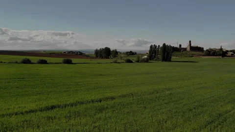 Planted fields Stock Footage 155005826