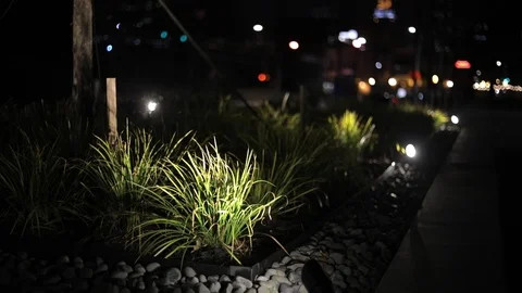 Planted flora blowing in the wind, cityspace at night with traffic lights Video stock 103149707