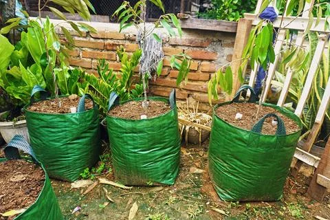 The planter bag Stock Photos