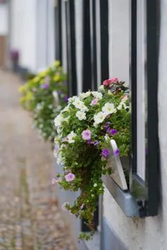 Planter with flowers Stock Photos
