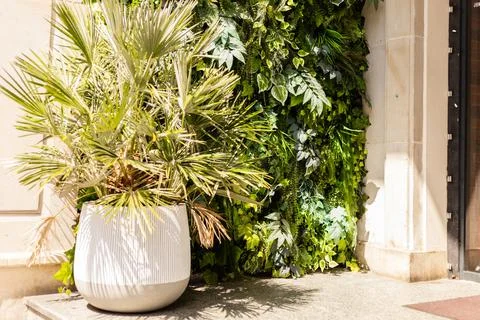 A planter with green plants is placed next to a wall. The wall is covered w.. Stock Photos