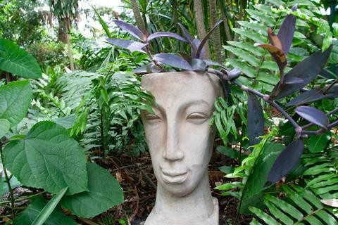 Planter head statue  Фото