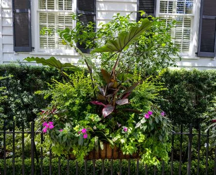 Planter Stock Photos