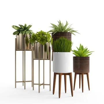 Planters that are on stands in front of white background Stock Illustration