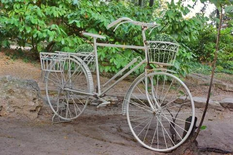 Planters. 写真素材